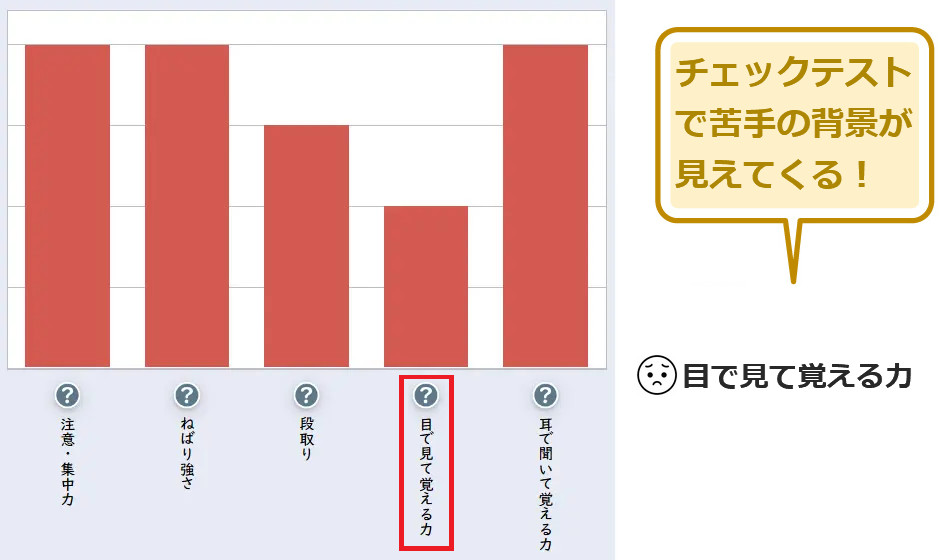 まるぐランドのチェックテスト認知特性