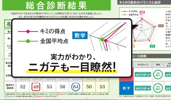 小学校総まとめ実力診断テスト