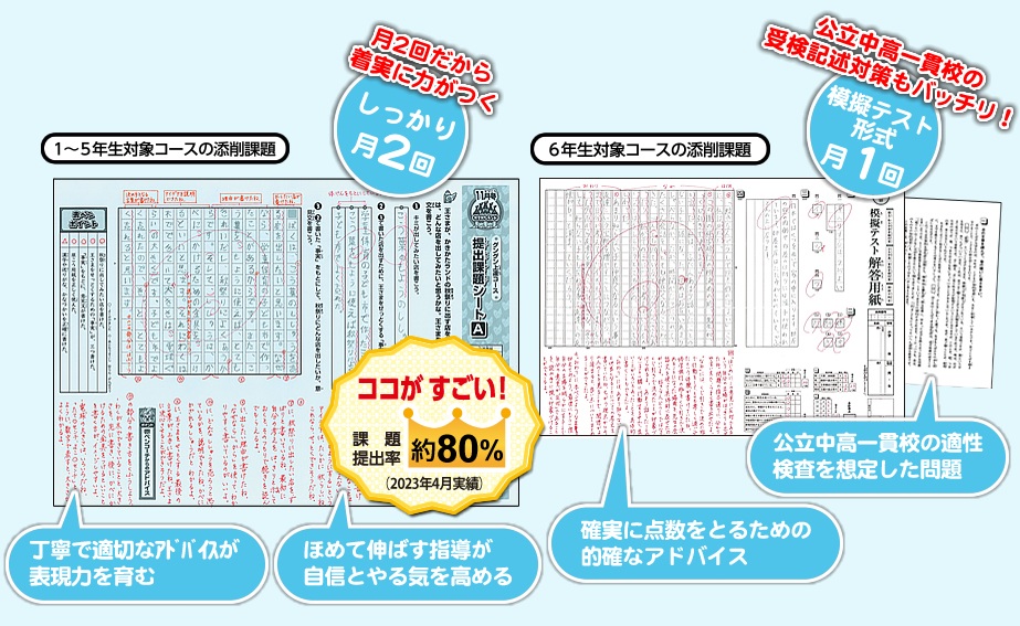 ブンブンどりむの添削課題の一例