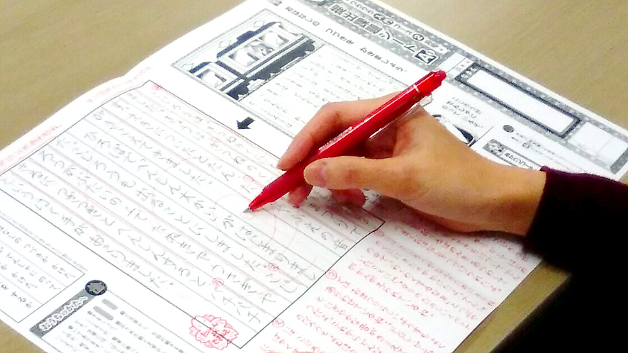 ブンブンどりむ添削指導のイメージ