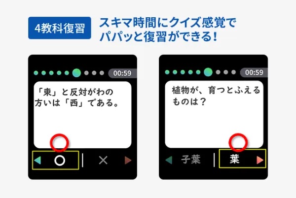 3年生向けの学習クイズの一例