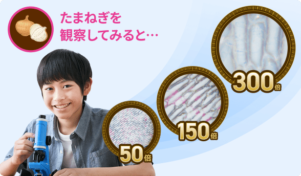 3段階の倍率で比べて観察ができる