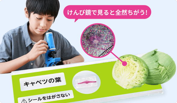 レアプレートで学びの意欲もアップ